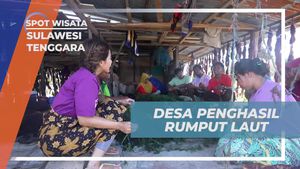 Mengungkap Keunggulan Desa Penghasil Rumput Laut di Sulawesi Tenggara  