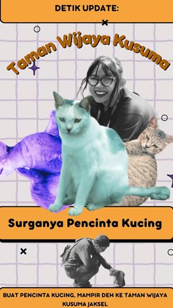 Video: Buat Pencinta Kucing, Mampir Deh ke Taman Wijaya Kusuma Jaksel