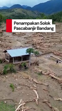 Video Solok Pascabanjir Bandang, Kayu Gelondongan Selimuti Danau Singkarak