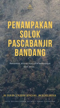 Video Solok Pascabanjir Bandang, Kayu Gelondongan Selimuti Danau Singkarak
