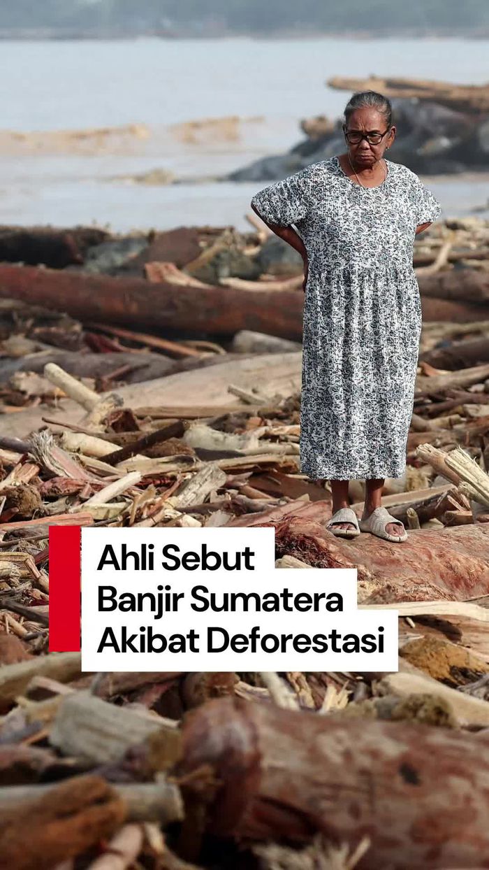 Video: Bukan Bencana Alam, Ahli Sebut Banjir Sumatera sebagai Bencana Ekologis