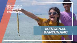 Mengenal Bantunang, Hewan Unik dari Pasir Pantai Sulawesi Tenggara  