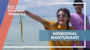 Mengenal Bantunang, Hewan Unik dari Pasir Pantai Sulawesi Tenggara  