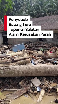 Video: Menteri LH Ungkap Penyebab Batang Toru Tapsel Alami Kerusakan Parah