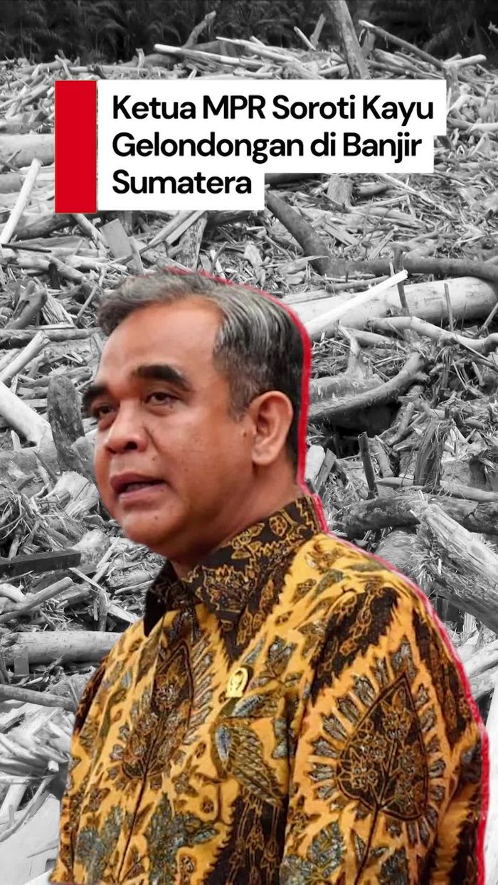 Video Ketua MPR soal Kayu-kayu di Banjir Sumatera: Ditebang, Bukan Roboh