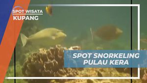 Bersnorkeling di Pulau Kera dan Menikmati Keindahan Bawah Laut di Kupang, NTT  
