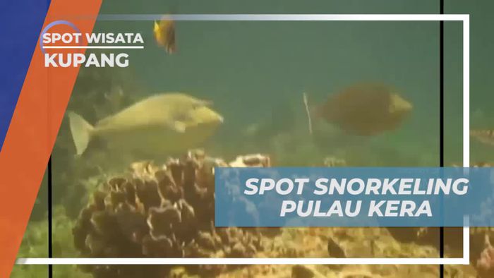 Bersnorkeling di Pulau Kera dan Menikmati Keindahan Bawah Laut di Kupang, NTT  