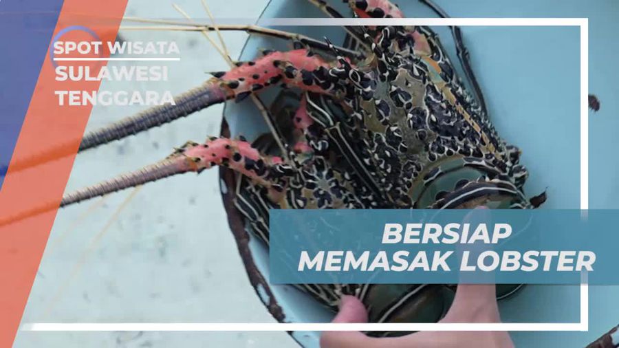 Bersiap Memasak Lobster Segar di Pinggir Pantai Sulawesi Tenggara  