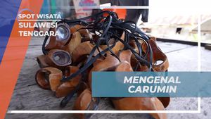 Menggunakan Carumin, Kacamata Tradisional Saat Menangkap Ikan di Sulawesi Tenggara  