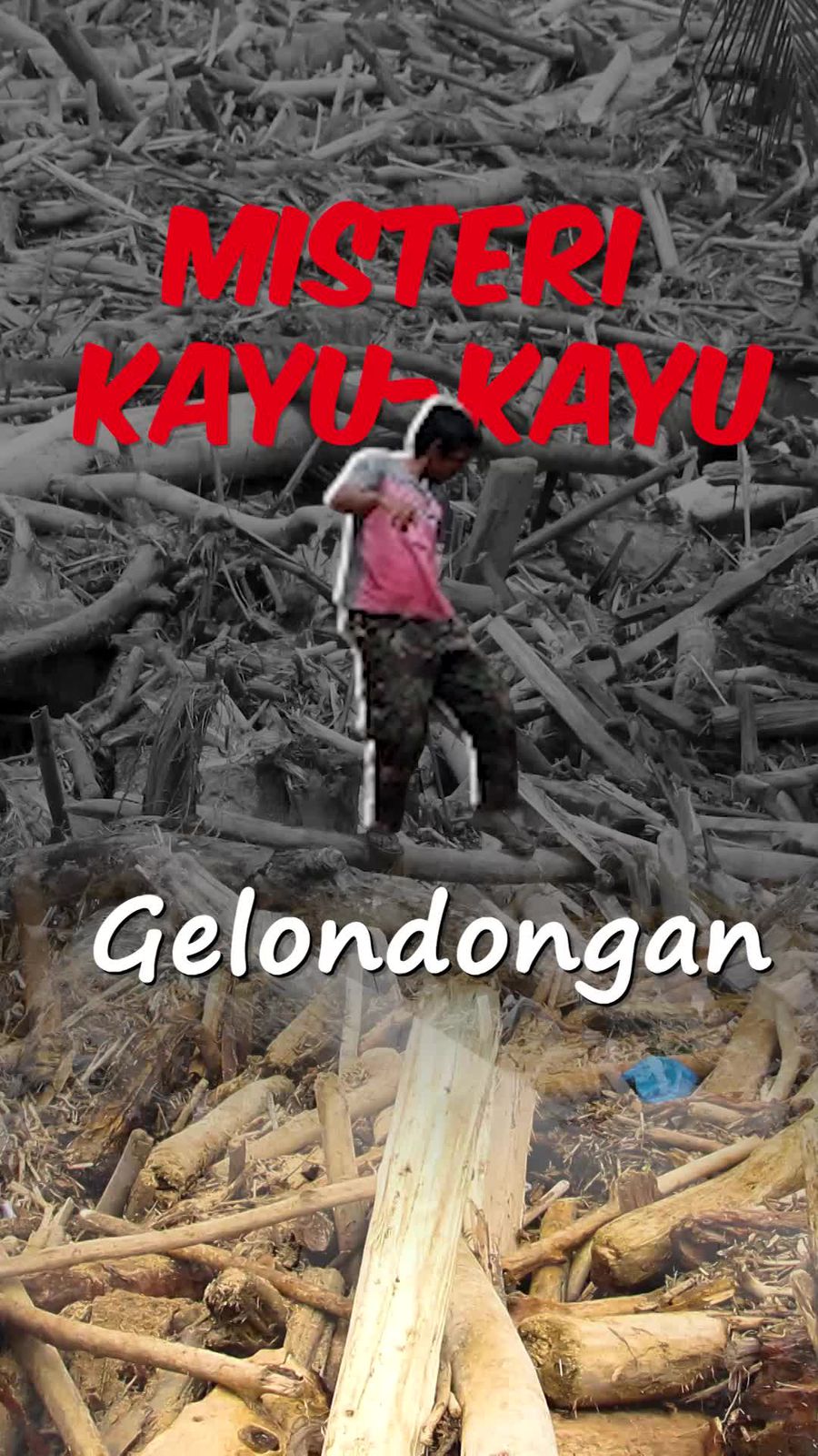 Video: Misteri Kayu-kayu Gelondongan yang Hanyut Bersama Banjir di Sumatera