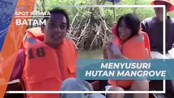 Menikmati Keindahan Hutan Mangrove dan Tour di Batam  