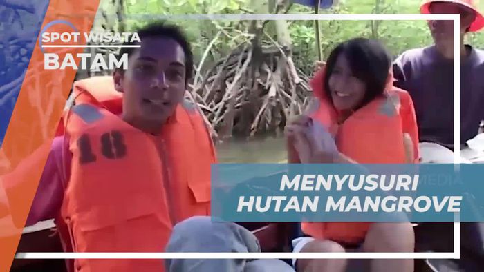 Menikmati Keindahan Hutan Mangrove dan Tour di Batam  