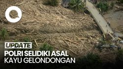 Video Kapolri Selidiki Kayu Gelondongan: Apabila Ada Pelanggaran, Kita Proses
