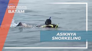 Asiknya Snorkeling di Pulau Putri, Batam  