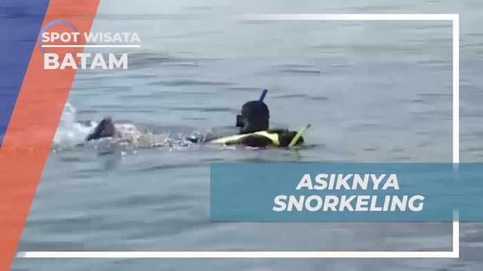 Asiknya Snorkeling di Pulau Putri, Batam  