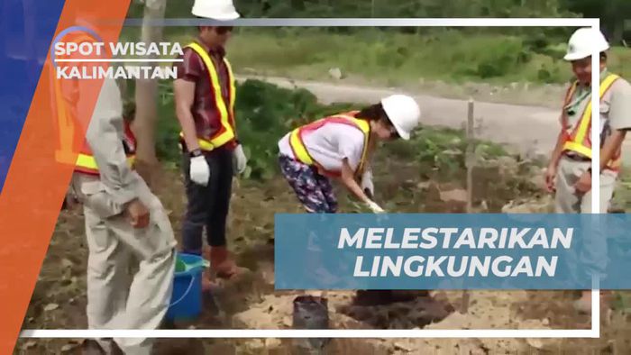 Menanam Pohon dan Melestarikan Lingkungan di Lahan Reklamasi Tambang Kalimantan  