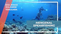 Mengenalkan Teknik Spearfishing Tradisional di Kampung Bajo Mola, Sulawesi Tenggara  