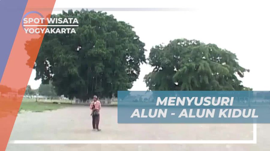 Menyusuri Alun-Alun Kidul dan Menikmati Suasana Asri Pohon Beringin di Yogyakarta  