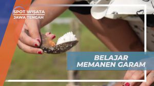 Belajar Memanen Garam dari Bledug Kuwu di Desa Kuwu, Jawa Tengah  