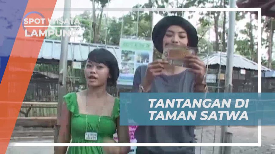 Mengikuti Tantangan Mencari Satwa di Kebun Binatang, Lampung  