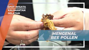Mengetahui Manfaat Bee Pollen di Kalimantan Selatan  