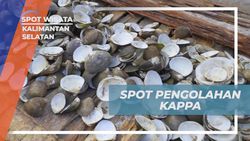 Mengolah Kappa Menjadi Kapur Sirih di Desa Pulau Sewangi Kalimantan Selatan