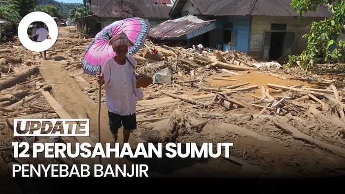 Video: Raja Juli Ungkap 12 Perusahaan di Sumut Jadi Penyebab Banjir