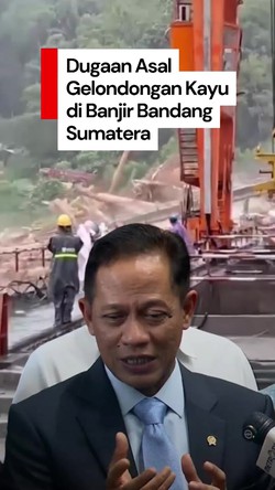 Video: Menteri LH Ungkap Dugaan Asal Gelondongan Kayu di Banjir Sumatera
