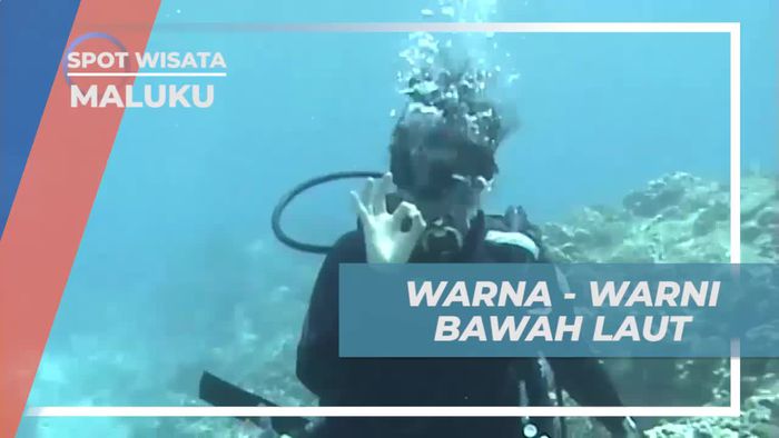 Menyaksikan Coral Indah dan Eksplorasi Bawah Laut di Spot Diving Maluku  