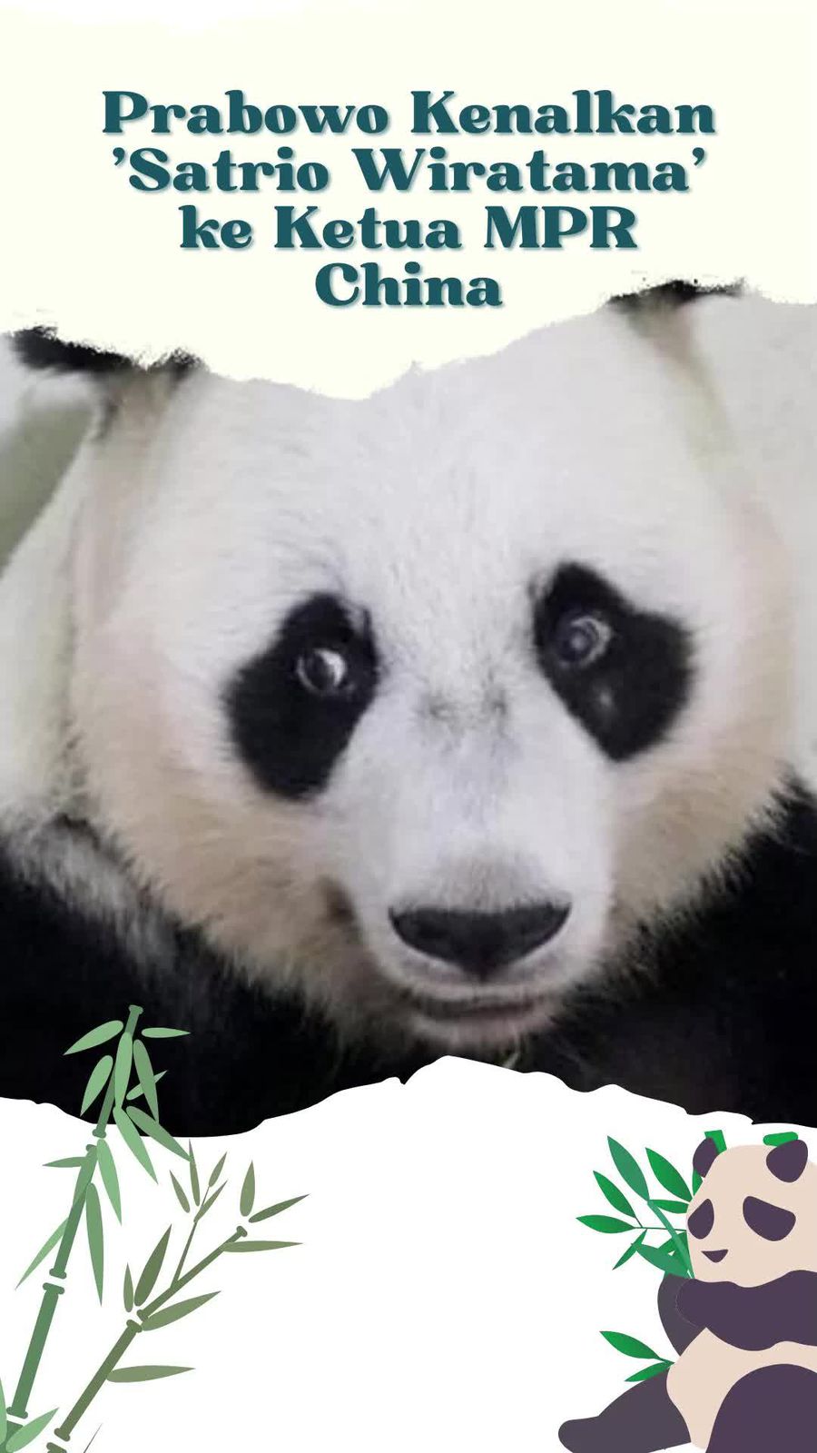 Video: Momen Prabowo Kenalkan Bayi Panda Satrio Wiratama ke Ketua MPR China