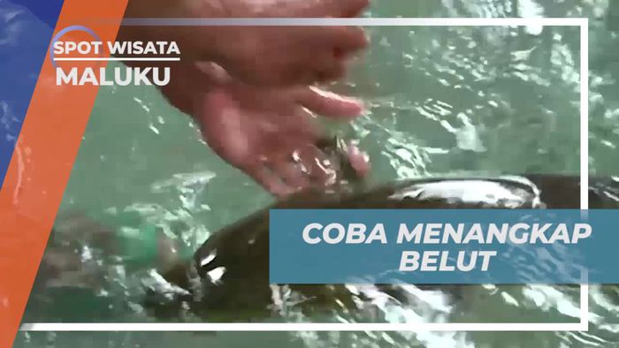Berfoto Bersama Belut Raksasa di Desa Wai, Maluku  