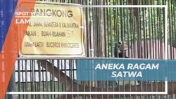 Mengunjungi Taman Satwa dan Melihat Beragam Binatang di Lampung  