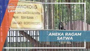 Mengunjungi Taman Satwa dan Melihat Beragam Binatang di Lampung  