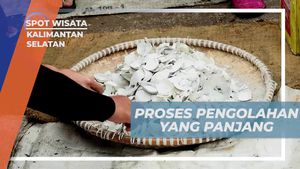 Menyaksikan Proses Panjang Pengolahan Cangkang Kerang di Kalimantan Selatan