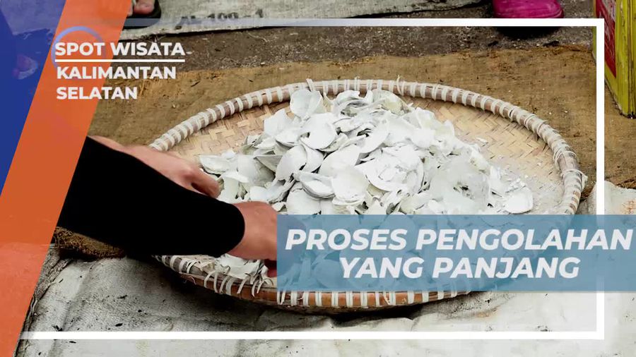 Menyaksikan Proses Panjang Pengolahan Cangkang Kerang di Kalimantan Selatan