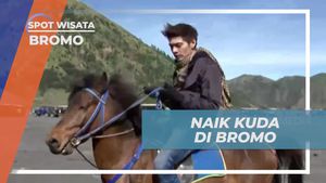 Menikmati Kesenangan Menunggangi Kuda di Bromo