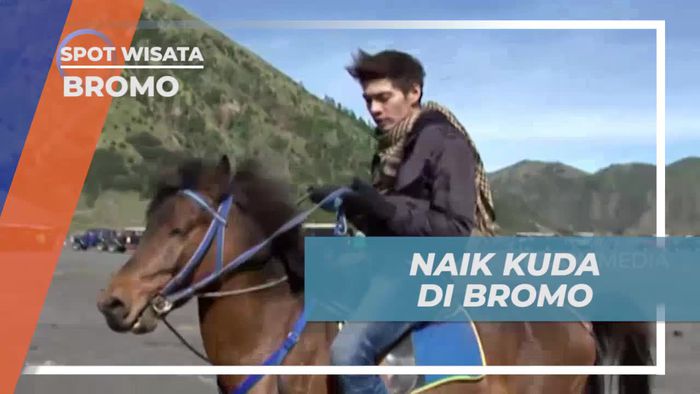 Menikmati Kesenangan Menunggangi Kuda di Bromo