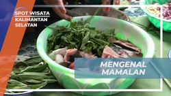 Menggali Keunikan Mamalan Bersama Warga Kalimantan Selatan