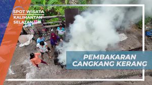 Membakar Cangkang Kerang untuk Membuat Kapur Sirih di Kalimantan Selatan