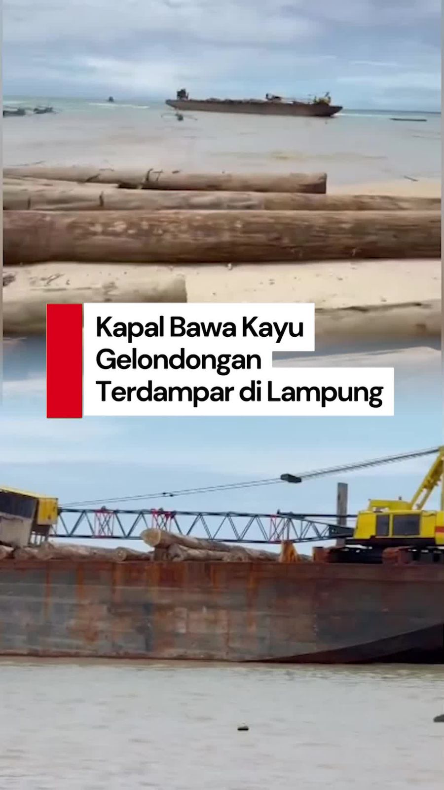 Video: Kapal Bawa Ribuan Kayu Gelondongan dari Sumbar Terdampar di Lampung