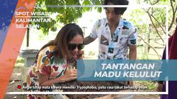 Menghadapi Tantangan Mencicipi Madu Kelulut dengan Kacamata Hitam di Kalimantan Selatan