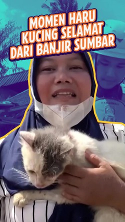 Video: Kucing Korban Banjir Sumbar Ini Akhirnya Kembali ke Pelukan Pemiliknya