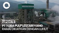 Video: Seputar PT Toba Pulp yang Ramai Dikaitkan dengan Luhut