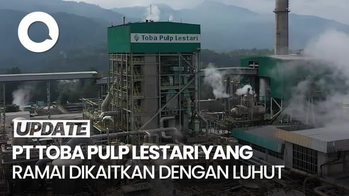 Video: Seputar PT Toba Pulp yang Ramai Dikaitkan dengan Luhut