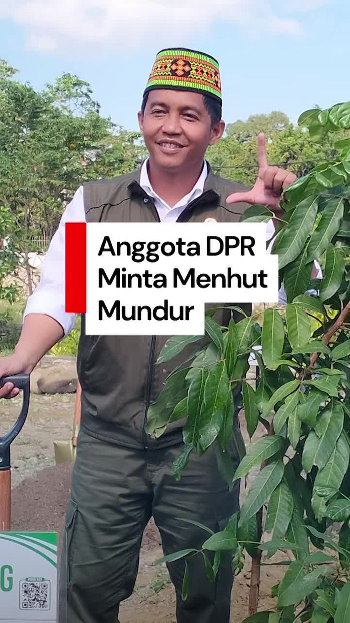 Video Anggota DPR Minta Menhut Raja Juli Mundur: Enggak Paham Kehutanan