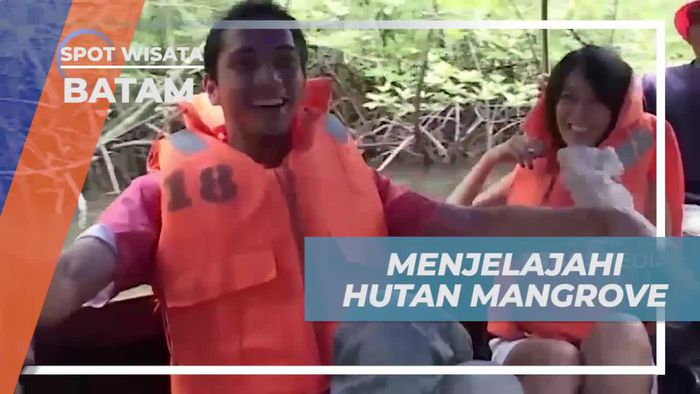 Menjelajahi Hutan Mangrove dan Mengagumi Keindahannya dengan Tour di Batam 