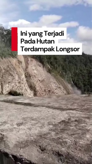 Video: Apa yang Terjadi Pada Hutan Alam Terdampak Tanah Longsor?