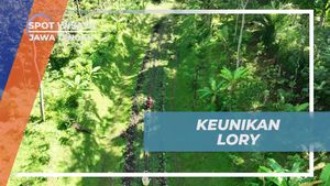 Menyelami Keunikan Rel Panjang Lory di Ambarawa, Jawa Tengah  
