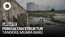 Video: Rencana DKI Perkuat Struktur Tanggul Muara Baru di 2026