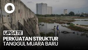 Video: Rencana DKI Perkuat Struktur Tanggul Muara Baru di 2026